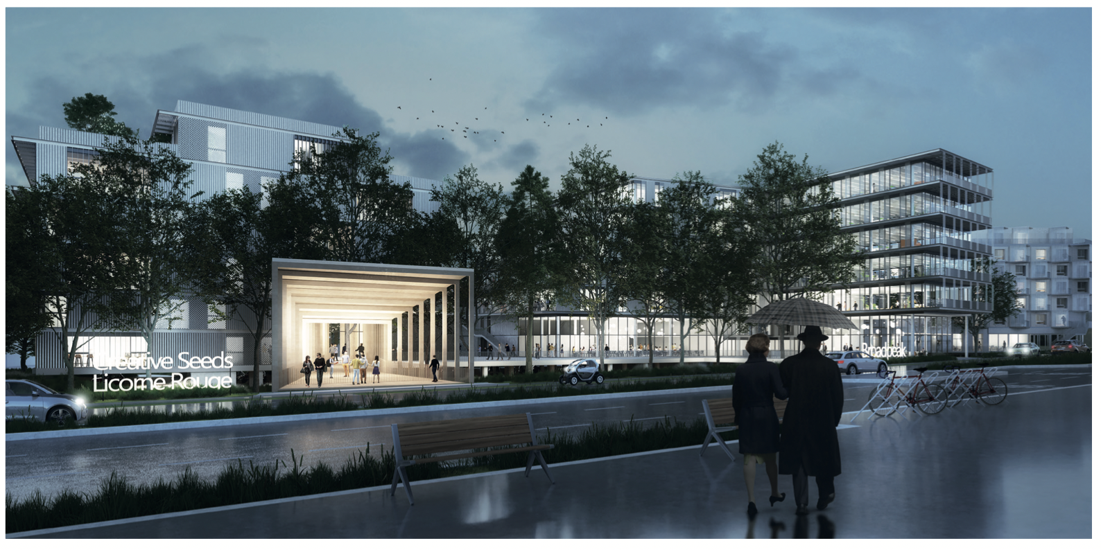 Creat Seeds nouv bat