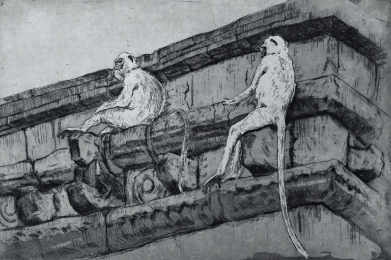 Cohl Ruine