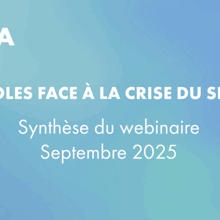 Video webinaire RECA