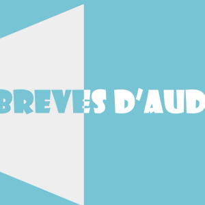LES BREVES D'AUDIENS